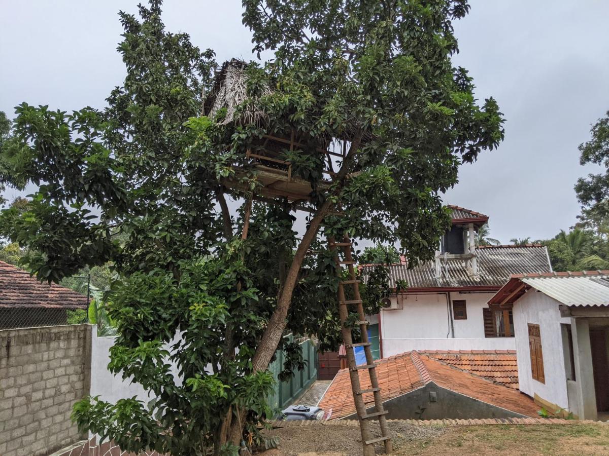 Serendip Villa Holiday Home Talalla Sri Lanka Exterior foto